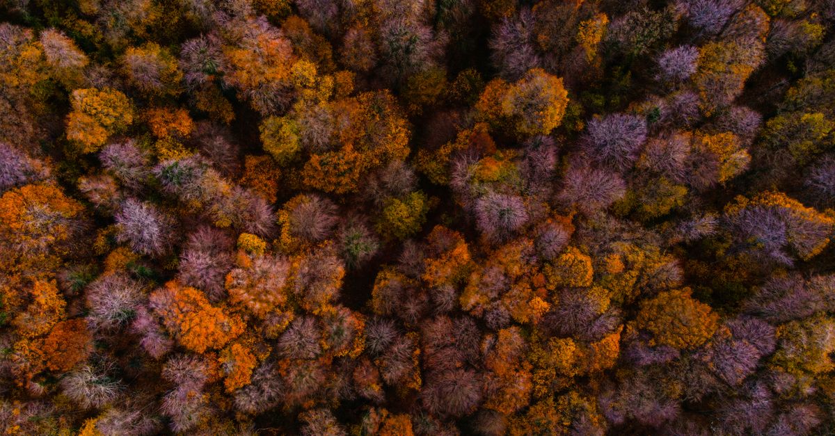 The September Effect: Why It's Historically the Worst Month